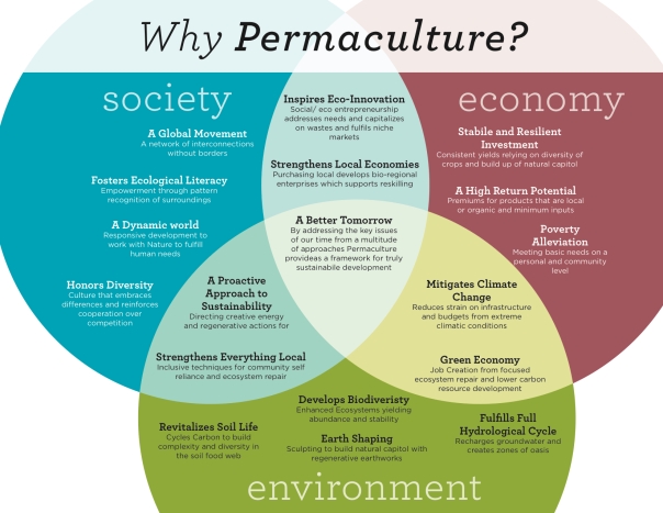 Why Permaculture Graphic